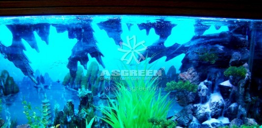 Cách bài trí bể cá cảnh hợp phong thuỷ