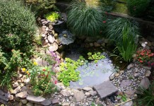 Những ý tưởng tạo hồ nước nhỏ cho sân vườn