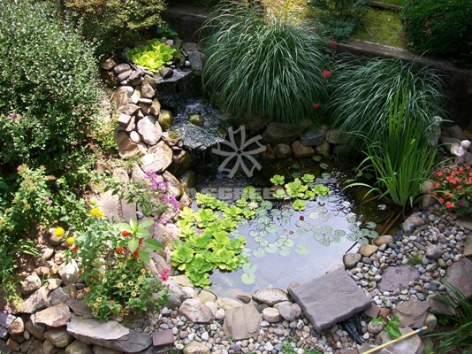 Những ý tưởng tạo hồ nước nhỏ cho sân vườn