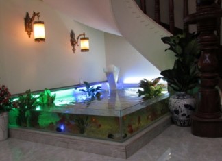 Có nên đặt bể cá cảnh ở gầm cầu thang?