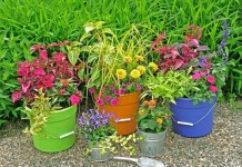 Bài trí tiểu cảnh sân vườn đẹp giúp giải nhiệt cho mùa hè