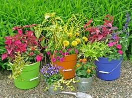 Bài trí tiểu cảnh sân vườn đẹp giúp giải nhiệt cho mùa hè