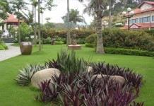 Cách bài trí sân vườn theo hướng nhà