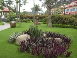 Cách bài trí sân vườn theo hướng nhà