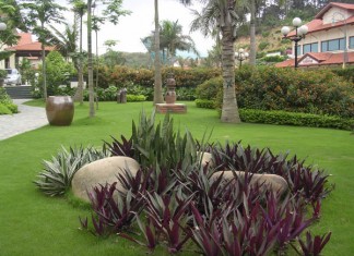 Cách bài trí sân vườn theo hướng nhà