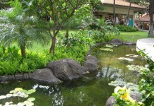 Những lưu ý với đường nước vào nhà