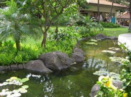 Những lưu ý với đường nước vào nhà