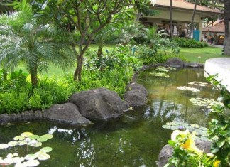 Những lưu ý với đường nước vào nhà