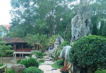 Thi công cải tạo cảnh quan nhà hàng Hương Quê