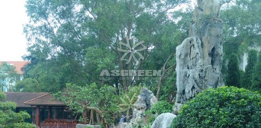 Thi công cải tạo cảnh quan nhà hàng Hương Quê