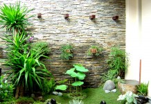 Thiết kế tiểu cảnh sân vườn hồ koi ấn tượng