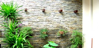 Thiết kế tiểu cảnh sân vườn hồ koi ấn tượng