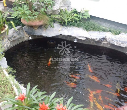 Xây Hồ Xi Măng Cho Koi