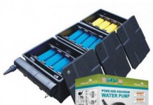 Tại sao cần vệ sinh bộ lọc hồ cá Koi thường xuyên ?