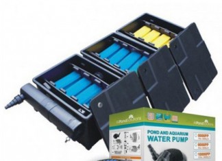 Tại sao cần vệ sinh bộ lọc hồ cá Koi thường xuyên ?