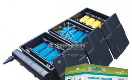 Tại sao cần vệ sinh bộ lọc hồ cá Koi thường xuyên ?