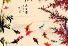 Ý nghĩa thú vị đằng sau những biểu tượng cá Koi