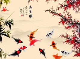 Ý nghĩa thú vị đằng sau những biểu tượng cá Koi