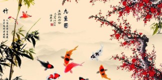 Ý nghĩa thú vị đằng sau những biểu tượng cá Koi