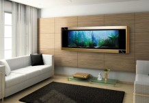 Bể cá treo tường, sản phẩm nội thất phong thủy và hiện đại