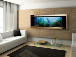 Bể cá treo tường, sản phẩm nội thất phong thủy và hiện đại