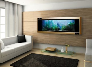 Bể cá treo tường, sản phẩm nội thất phong thủy và hiện đại