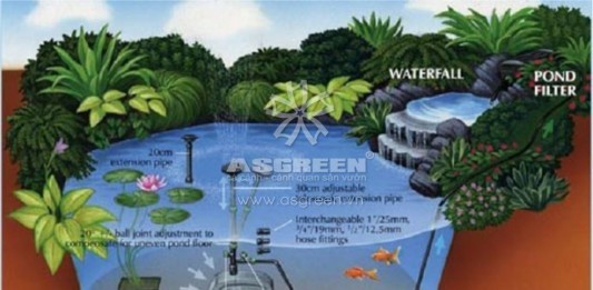 Tự thiết kế một hồ cá koi sân vườn theo 3 bước