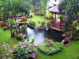 Mẫu hồ cá Koi truyền thống Nhật Bản