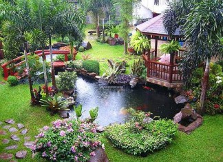 Mẫu hồ cá Koi truyền thống Nhật Bản