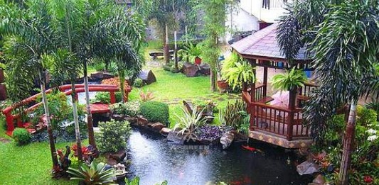 Mẫu hồ cá Koi truyền thống Nhật Bản