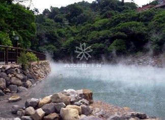 Những lưu ý khi chăm sóc cá Koi vào mùa hè