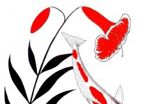 Những sự thật thú vị về cá Koi