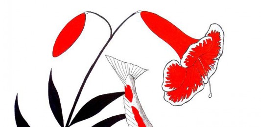 Những sự thật thú vị về cá Koi