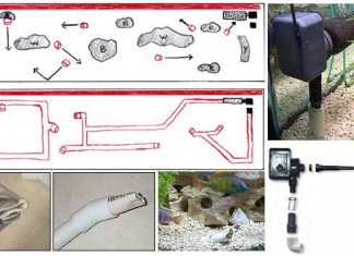 Tạo luồng cho Hồ Koi