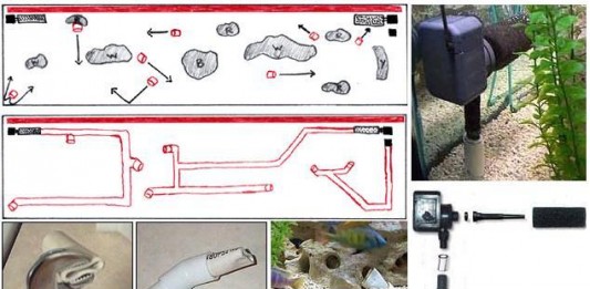 Tạo luồng cho Hồ Koi