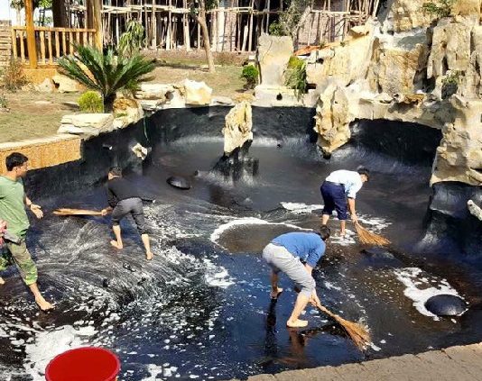 Hướng dẫn chống thấm cho hồ cá Koi