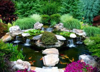 23 Mẫu hồ cá Koi đẹp từ các nước Asian