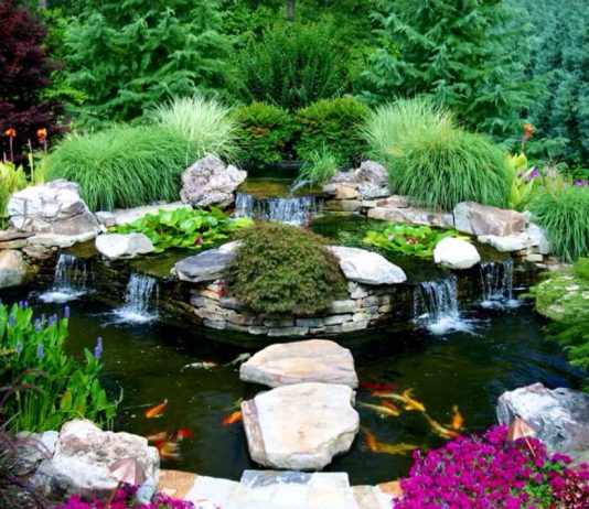 23 Mẫu hồ cá Koi đẹp từ các nước Asian